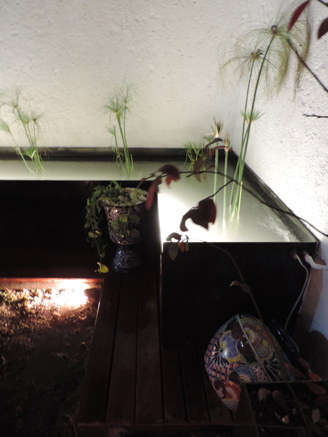 Terraza jardín, Metepec.