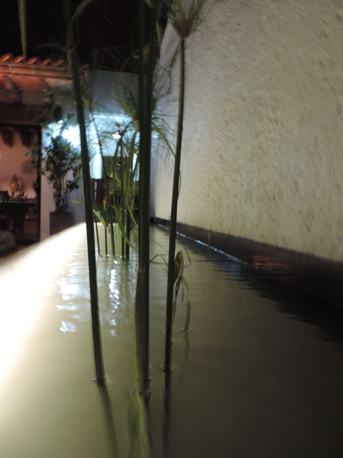 Terraza jardín, Metepec.