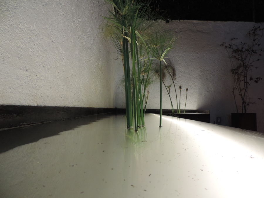 Terraza jardín, Metepec.