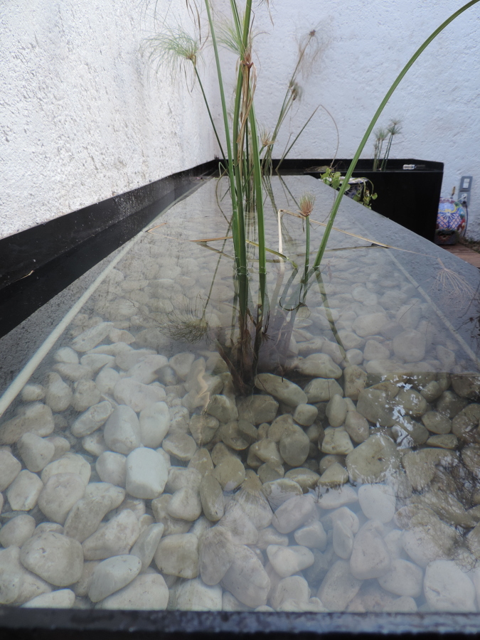 Terraza jardín, Metepec.