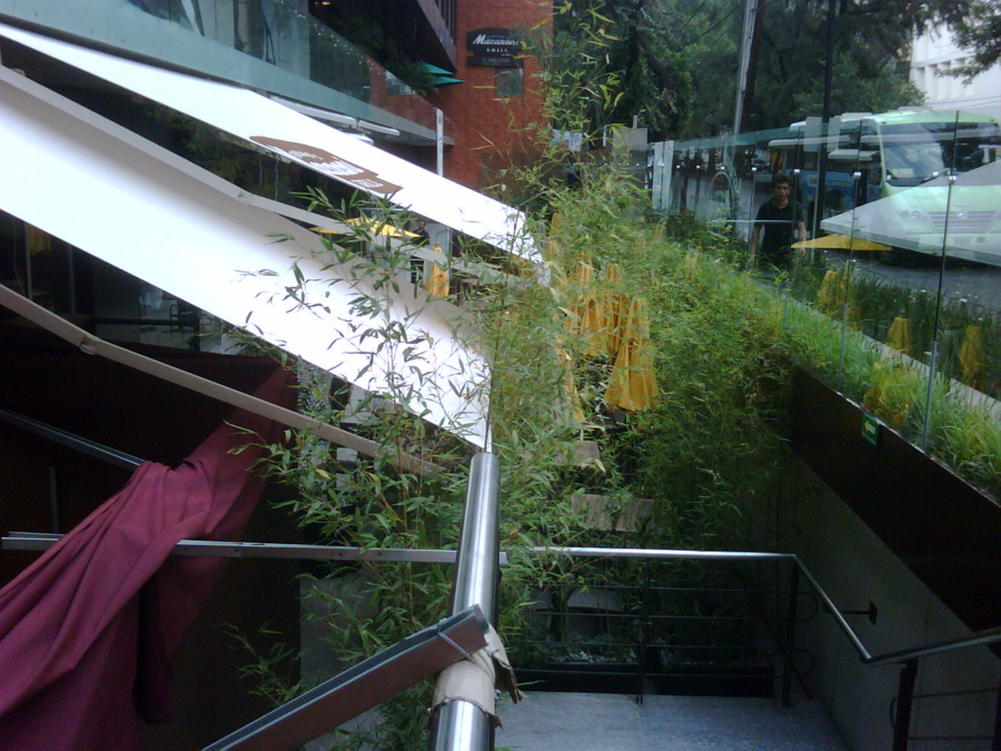 Toldos Premium de Brazo Retractil