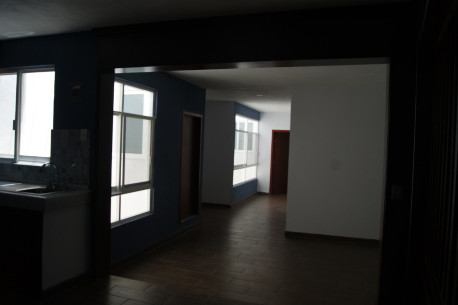 Vista desde el comedor