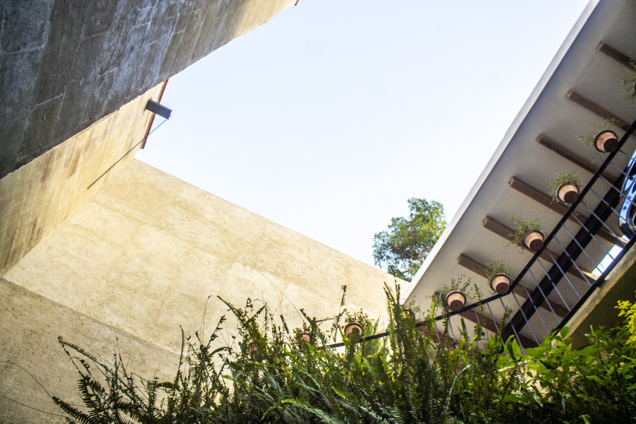 Vista desde el patio delantero