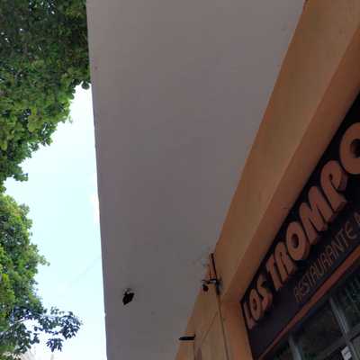 Pintura vinil-acrílica en Marquesina