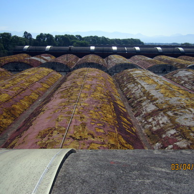 Aplicación de Impermeabilizante Acrílico.