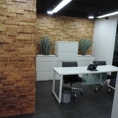 Colaboración en el Diseño de espacios y la realización de la Obra de Remodelación de Oficinas