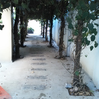 Tunel campestre de relajacion