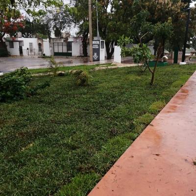 CONSTRUCCIÓN DE ANDADOR VERDE