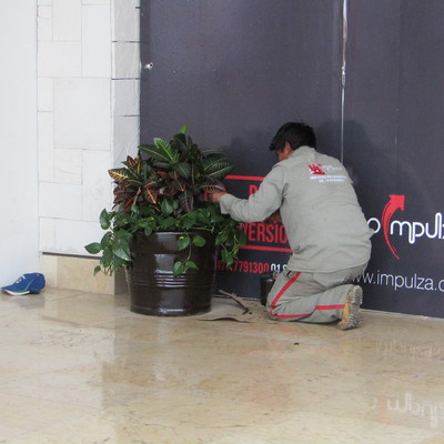 INSTALACIÓN Y REFORESTACIÓN DE JARDINERAS Y MACETONES EN PLAZA COMERCIAL