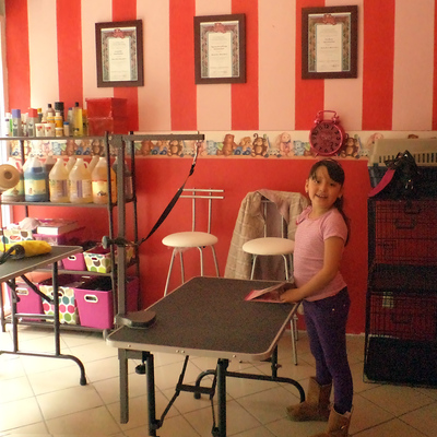 Diseño y decoración comercial