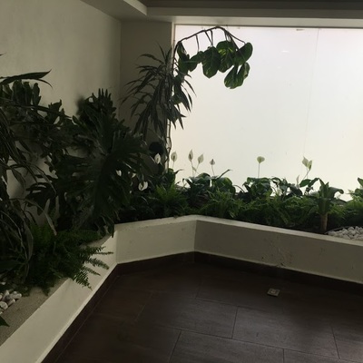 JARDIN INTERIOR