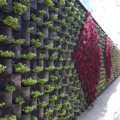 JARDIN VERTICAL "FLORESTA" CFE