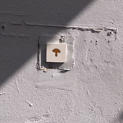 Lámparas en roof garden