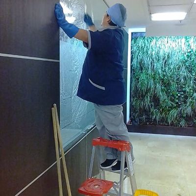 Limpieza profesional en condominios, hospitales, oficinas y plazas
