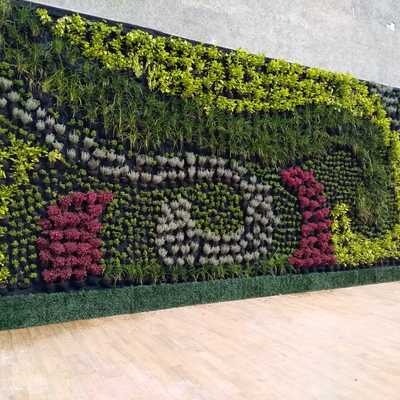 Muro verde en terraza