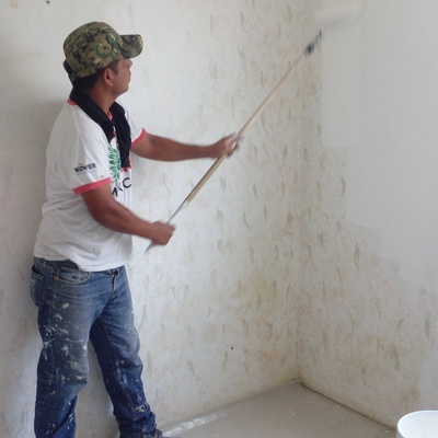 Pintura Interior Casa