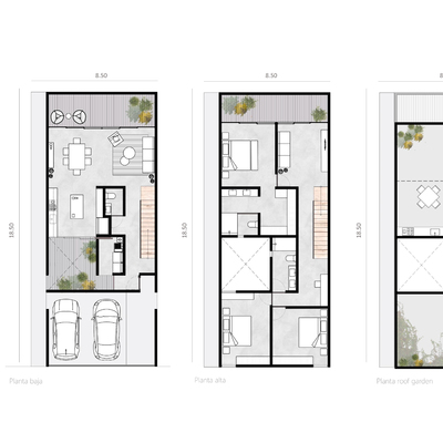 Plantas ambientadas proyecto Mty