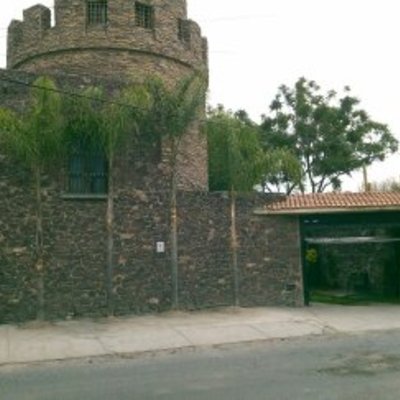 PALMERAS CAMBIO DE LUGAR (REPLANTE)