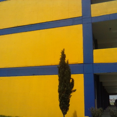 SUMINISTRO Y APLICACION DE PINTURA A ESCUELA CEUNI