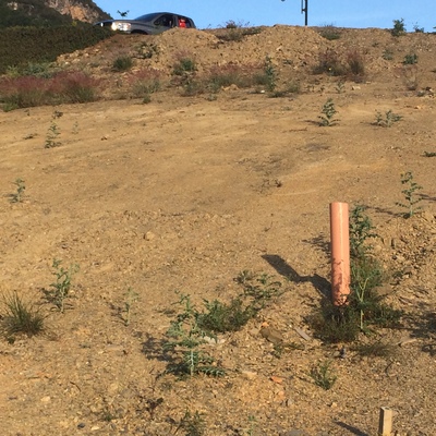 Casa Habitación Prop. de la Santos Ramos