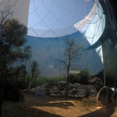 Geodésica para aviario en el Museo de la Evolución Tehuacán