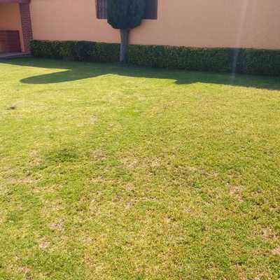 Mantenimiento de jardin