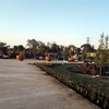 Parque bicentenario