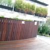Roof Garden