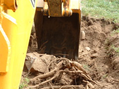 excavaciones_155_62593